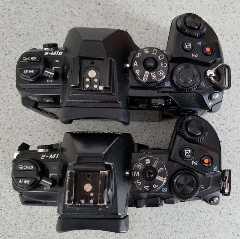 E-M1 comparison. The E-M1 Mark II, at the top of the photo, has a larger hand-grip than the E-M1