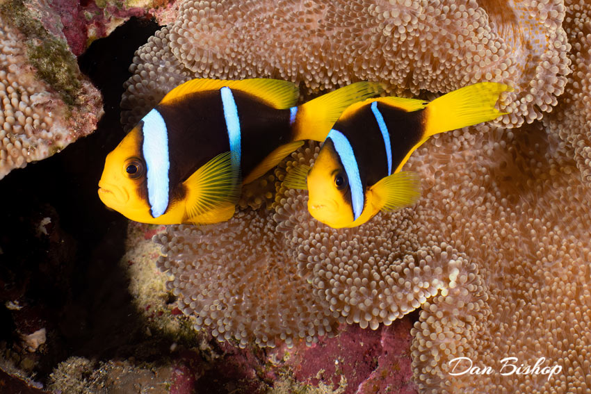 Fiji 2022 Trip Recap Fiji 2022 Trip Recap