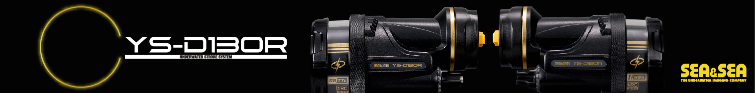 The NEW Sea & Sea YS-D130R Strobe! The NEW Sea & Sea YS-D130R Strobe!