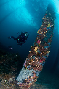Rapid bay jetty pier piling