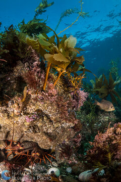 Sony FE 28mm w/ FE Conversion Lens @ F8, 1/125th, ISO100