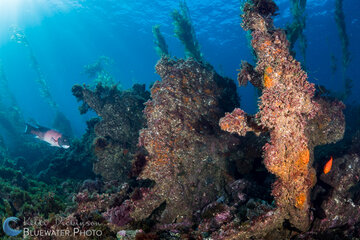 Sony FE 28mm w/ FE Conversion Lens @ F8, 1/125th, ISO100