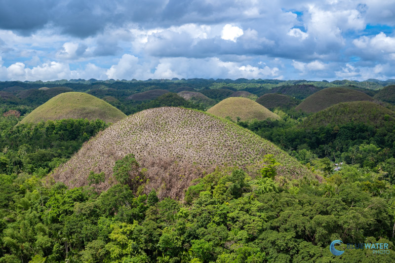 The Chocolate Hills of Bohol on a Tour with Magic Oceans Dive Resort The Chocolate Hills of Bohol on a Tour with Magic Oceans Dive Resort
