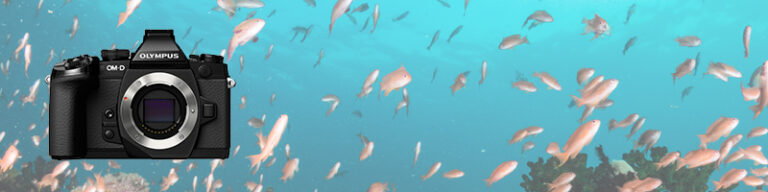 Olympus OM-D E-M1 Mark II Review Aquatica-a7rII-review-header copy