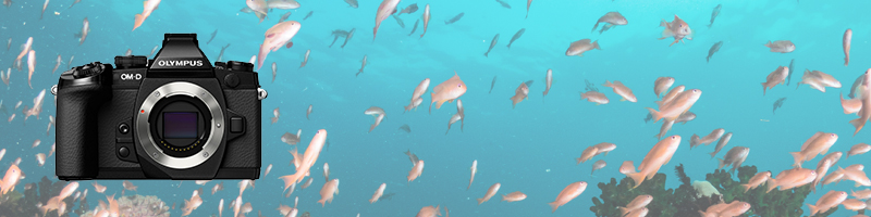 Aquatica-a7rII-review-header copy