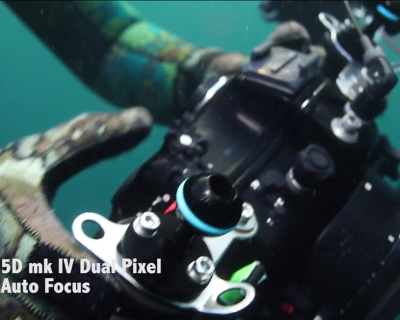 canon-5dmk4-video-review