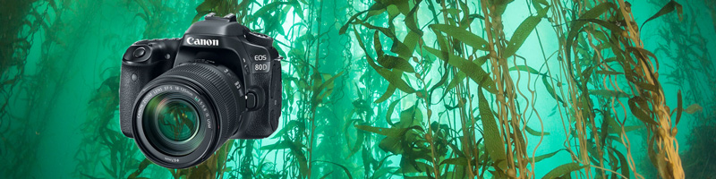 Canon-80D-Review