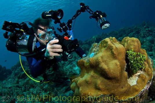 Underwater Photography Tutorial - Canon G11, G12 canon_g11_7