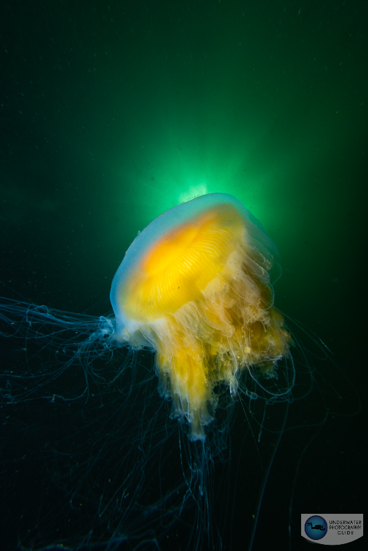 Although the Canon R5 Mark II's sensor is stacked, it still produces excellent, professional image quality. This image shows the dynamic range capable with the sensor. f/22, 1/250, ISO 200 Although the Canon R5 Mark II's sensor is stacked, it still produces excellent, professional image quality. This image shows the dynamic range capable with the sensor. f/22, 1/250, ISO 200