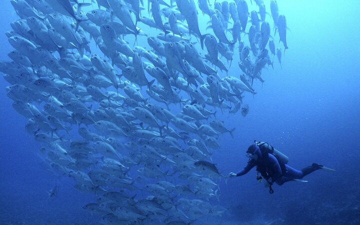 Fiji on the Nai'a Fiji on the Nai'a