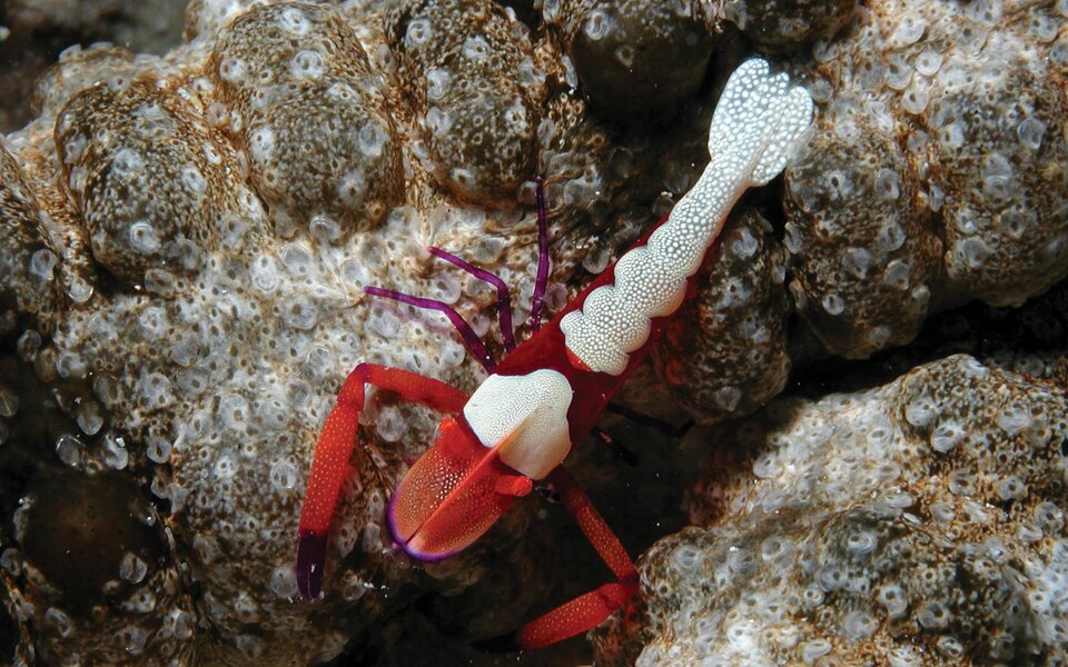 Fiji on the Nai'a Fiji on the Nai'a