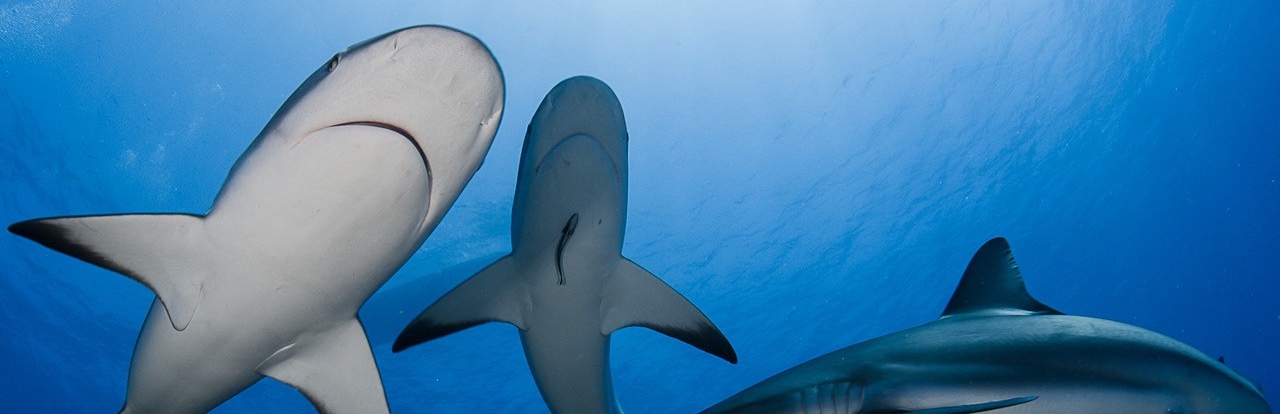 Cuba Photo Workshop October 2025