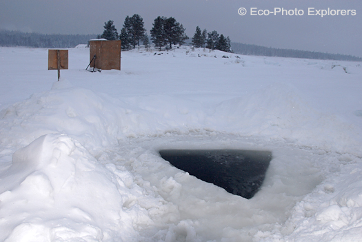 Maina ice hole