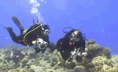 dive buddies video