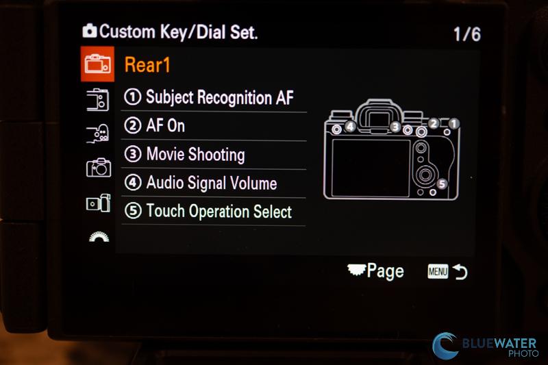 sony a1 ii customization