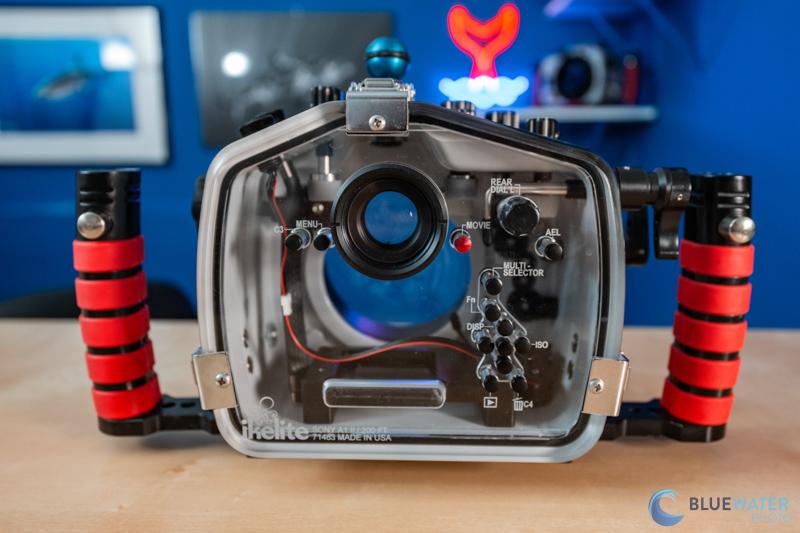 dsc07900.jpg Sony A1 II Underwater Settings