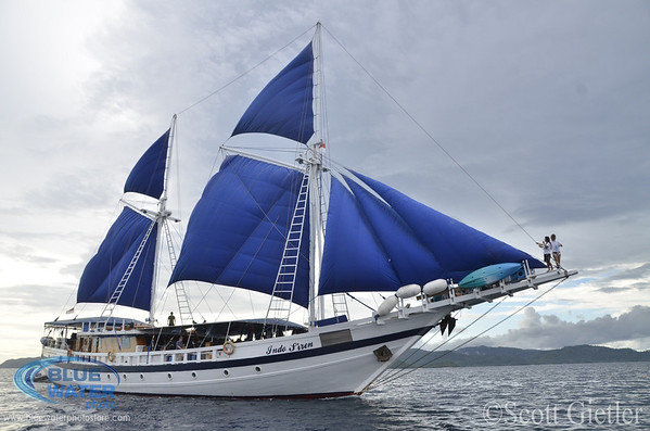indo-siren liveaboard boat