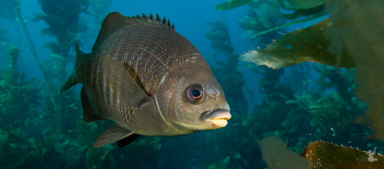 Sony RX100 IV Review durand-20151009-7657