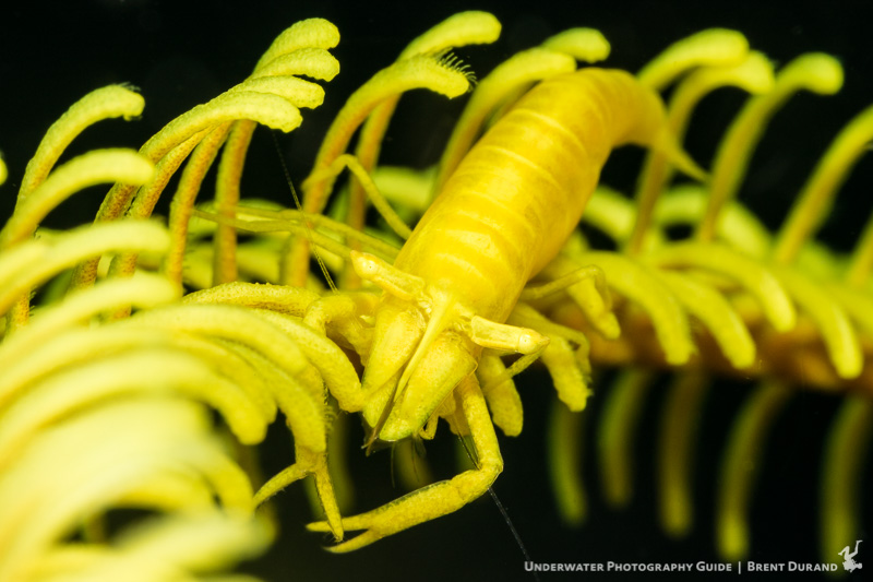 The right lens, combined with the right settings, will deliver some great photo results. Photo: Brent Durand