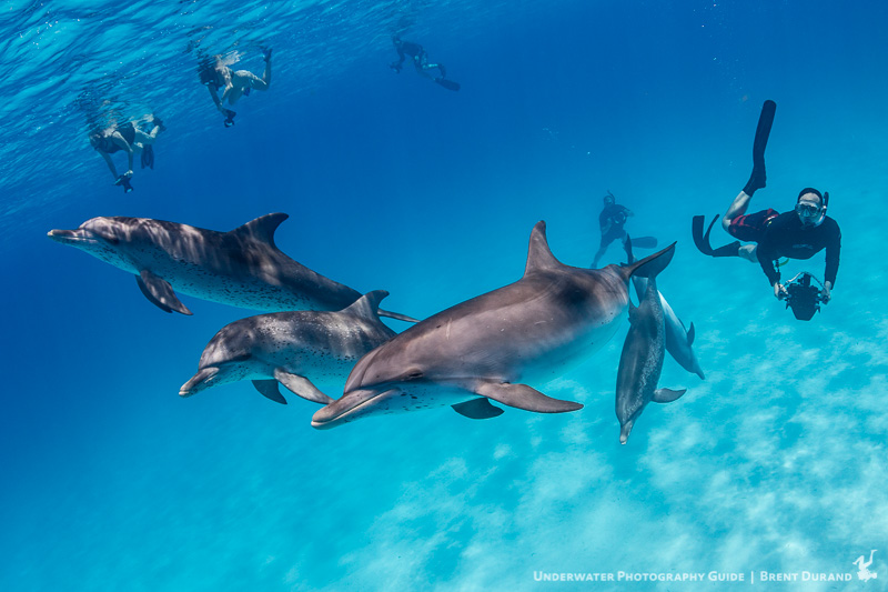 Wide lenses like a fisheye help capture the full scene underwater. Photo: Brent Durand