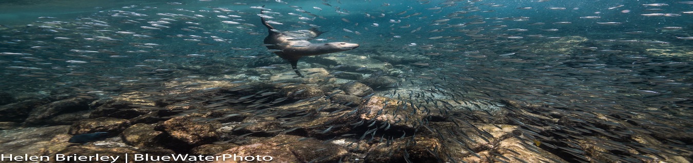 Explore Baja Photo Workshop 2025