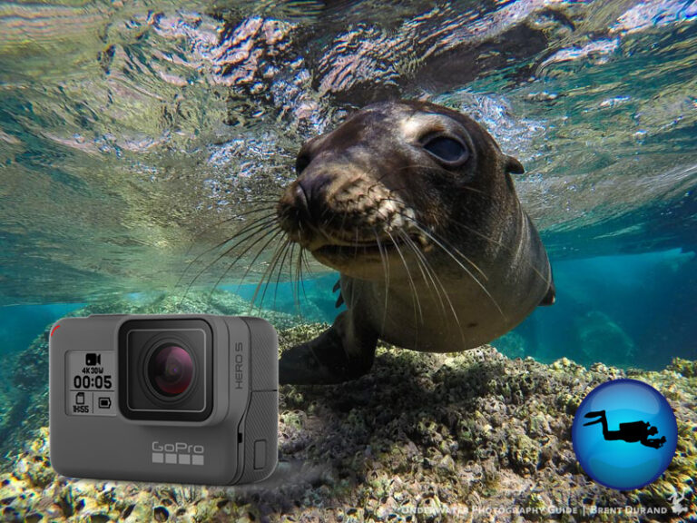 GoPro HERO5 Review for Underwater Gopro-hero5-review