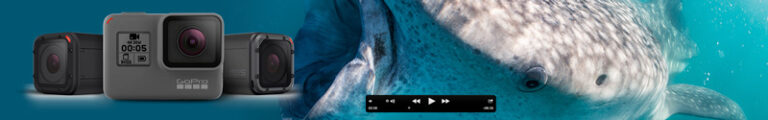 Beginner's Guide to GoPro for Underwater Video GoPro-Underwater-Video
