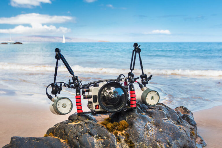 Nikon D780 Review Ikelite underwater housings