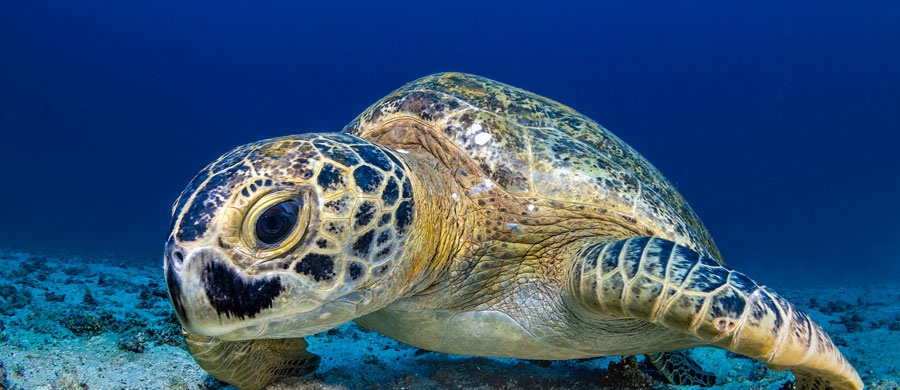 La Paz Photo Workshop November 2025