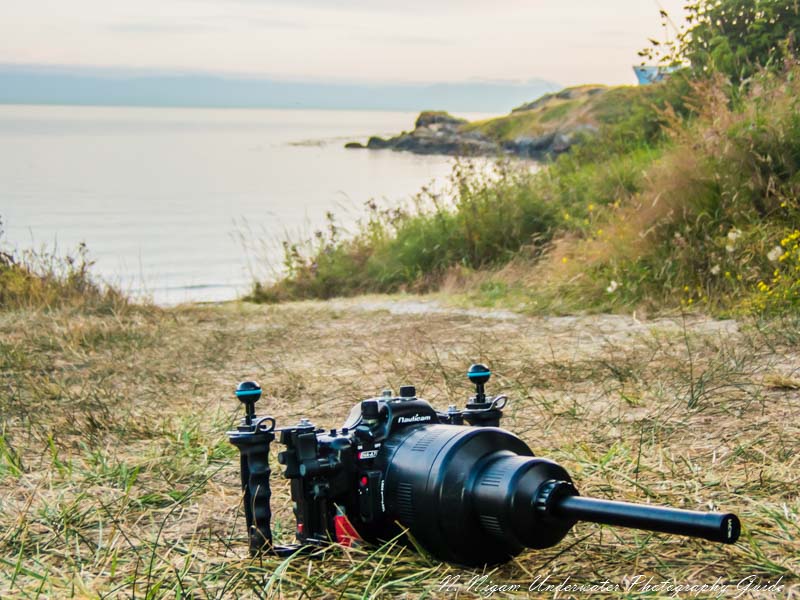 LAOWA 24mm macro lens in a Nauticam Housing LAOWA 24mm macro lens in a Nauticam Housing