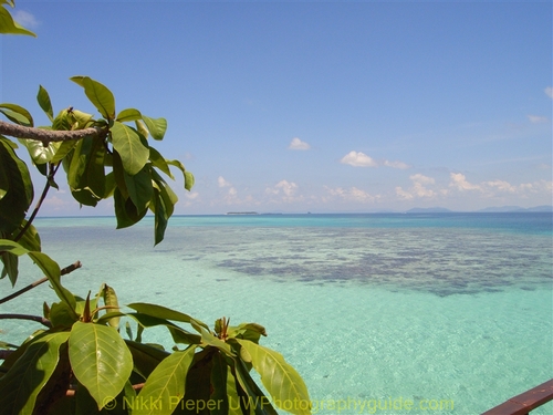 mabul and kapalai, diving sipadan