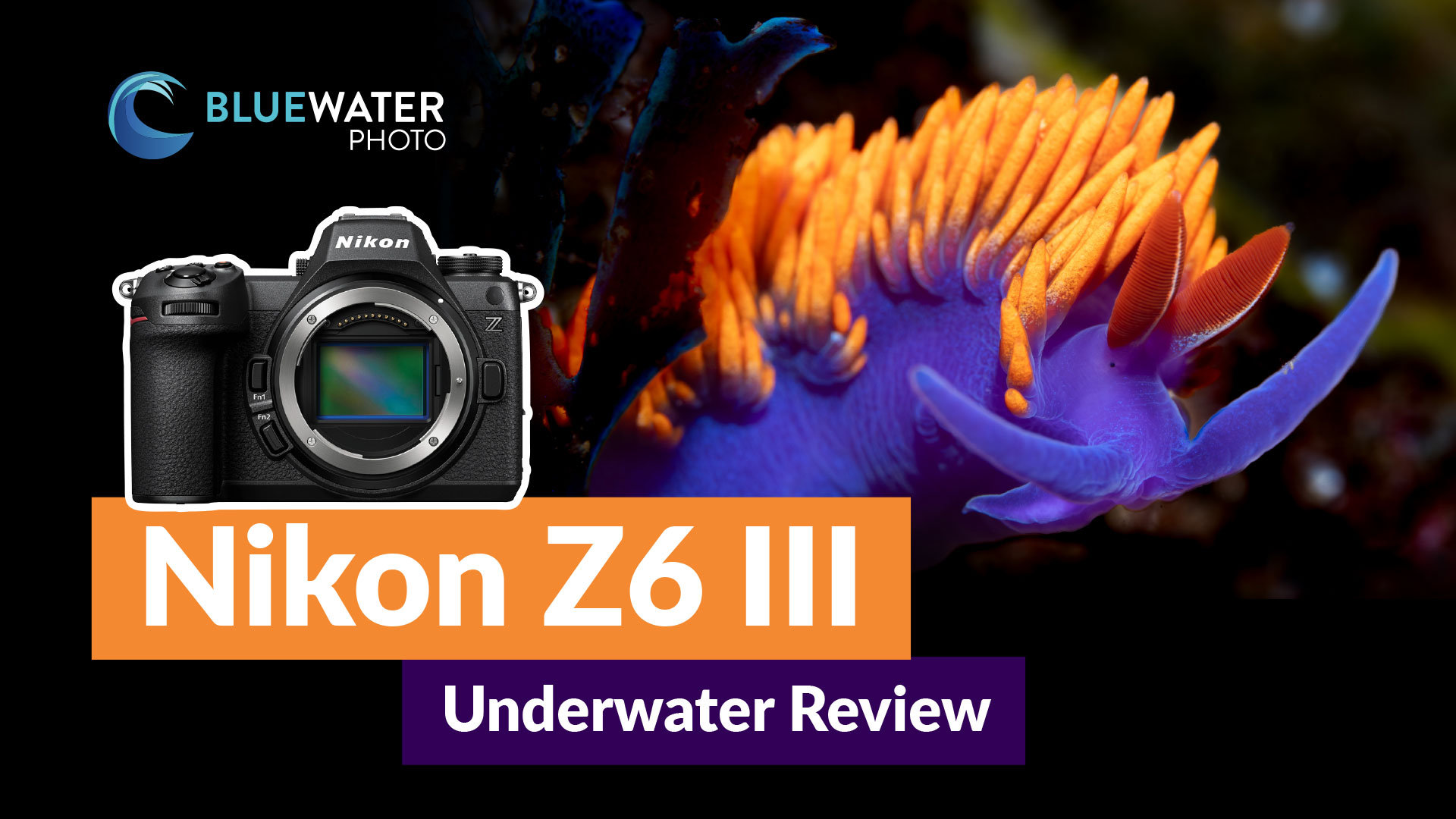 Nikon Z6III Review