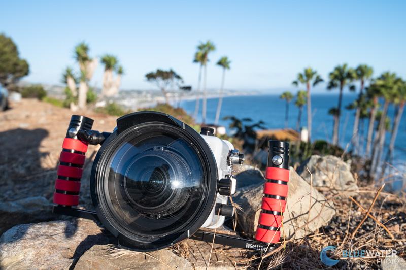 The Canon EOS R100 After a Day of Diving in Southern California The Canon EOS R100 After a Day of Diving in Southern California