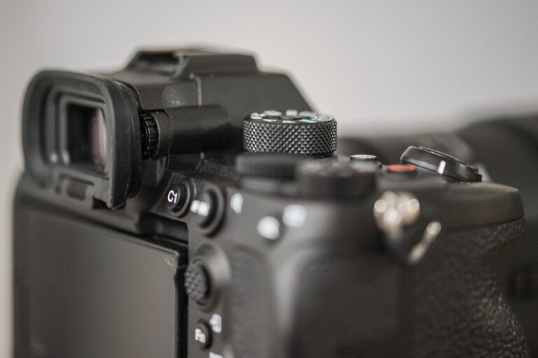 Sony A7S III Underwater Settings NJN_6310