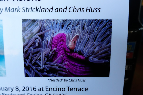 No Diopter at 24mm Sony RX100 IV review for underwater photography