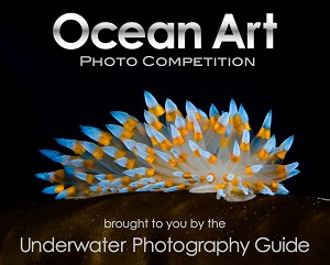2015 Ocean Art Contest Winners Ocean Art logo_small
