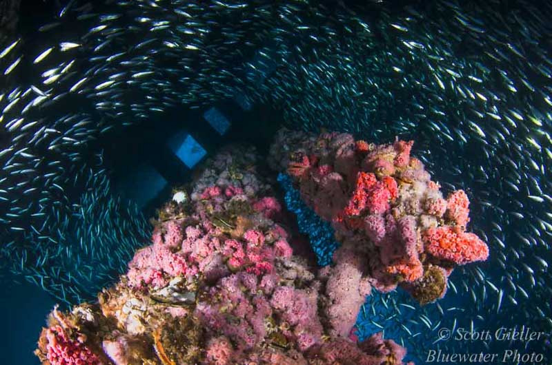 Wide Angle Tutorial on the Oil Rigs