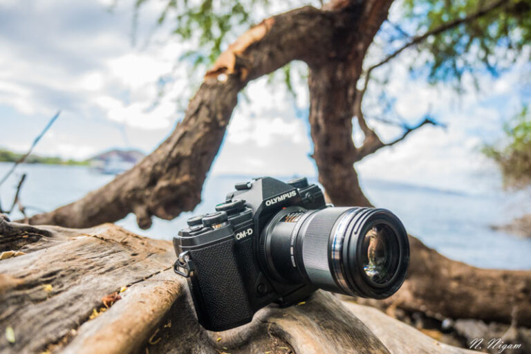 Olympus OM-D E-M5 Mark III Review omdiii2