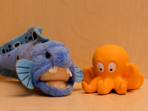 Panasonic GH5. ISO 400.