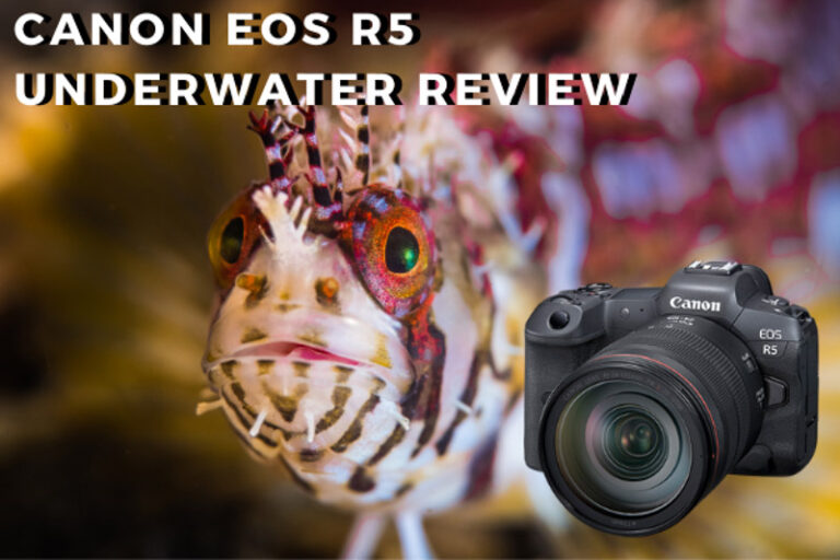 r5review