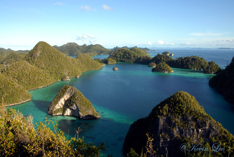 Raja Ampat diving underwater