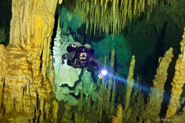 Sony RX100 II Sample Underwater Photo