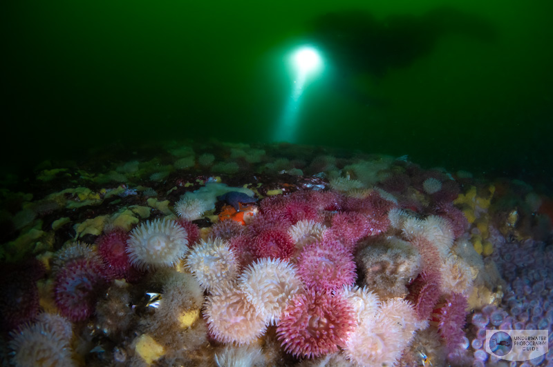 When the current picks up, all you can do is shine a light and watch the life go by When the current picks up, all you can do is shine a light and watch the life go by