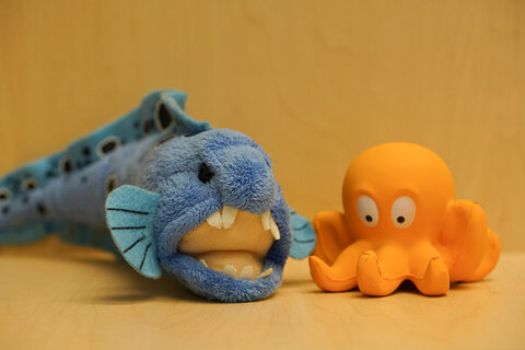 Sony a7R II. ISO 1600.