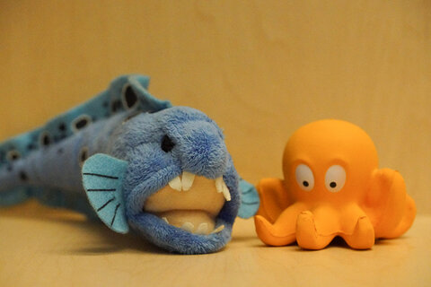 Sony a7R II. ISO 25,600.