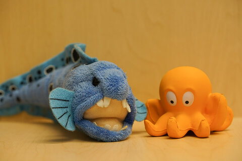 Sony a7R II. ISO 400.