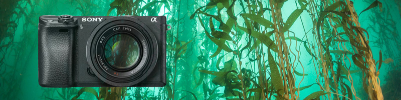 Sony-a6300-review-graphic