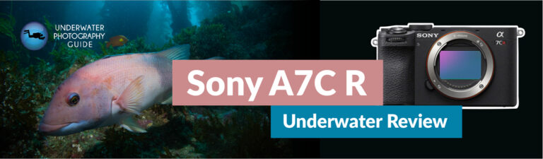Sony A7C R Underwater Review Sony-a7c-r-guide-2