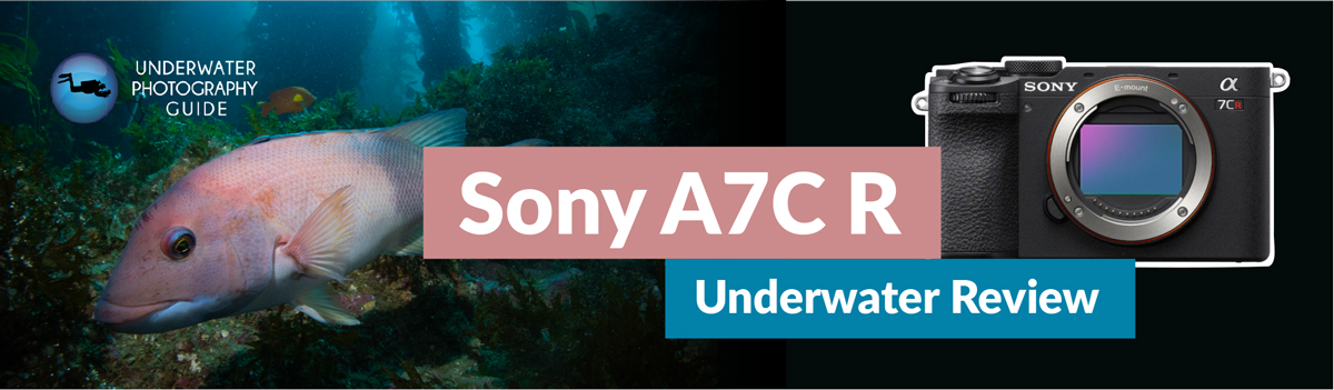 Sony A7C R Underwater Review