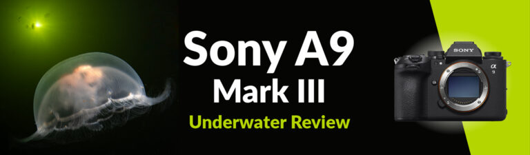 Sony A9 III Review Sony-A9-III-review-2 (1)
